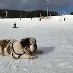 'zum Reifberg' 3* Ilmenau