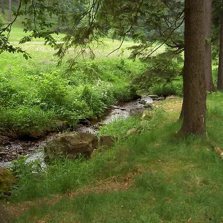 'zum Reifberg'