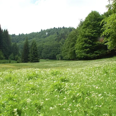 Casa de hóspedes 'zum Reifberg' Ilmenau