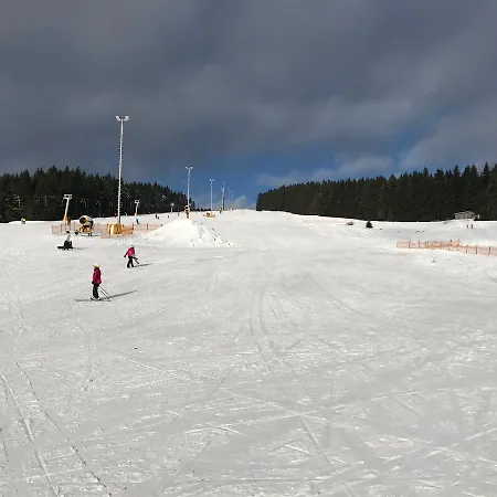 'zum Reifberg' Vendégház Ilmenau