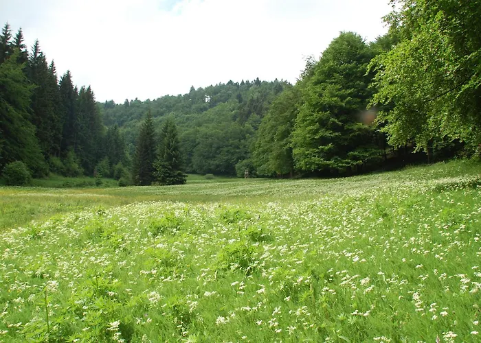 Casa de hóspedes 'zum Reifberg' Ilmenau