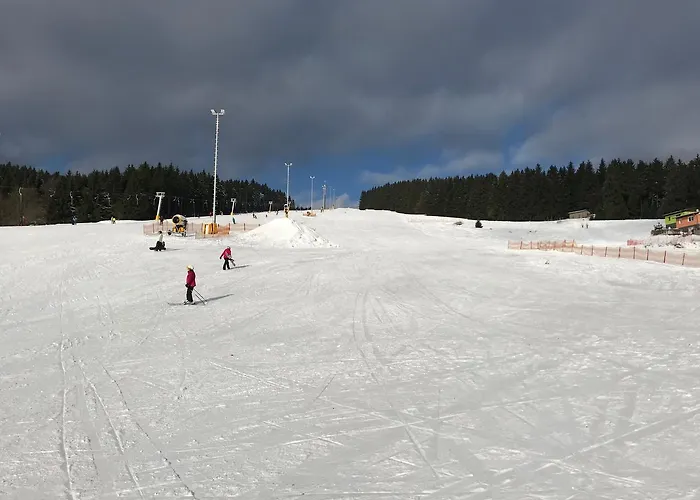 'zum Reifberg' Casa de hóspedes Ilmenau