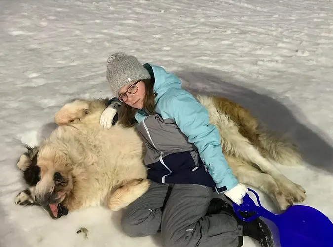 'zum Reifberg' Casa de hóspedes 3*