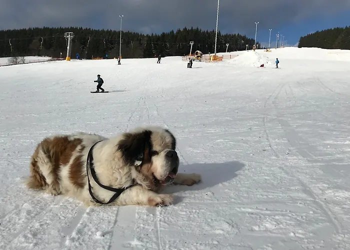 'zum Reifberg' 3* Ilmenau